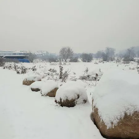 아파트호텔 Royal