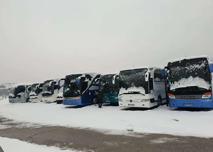 Royal Family 3* Банско