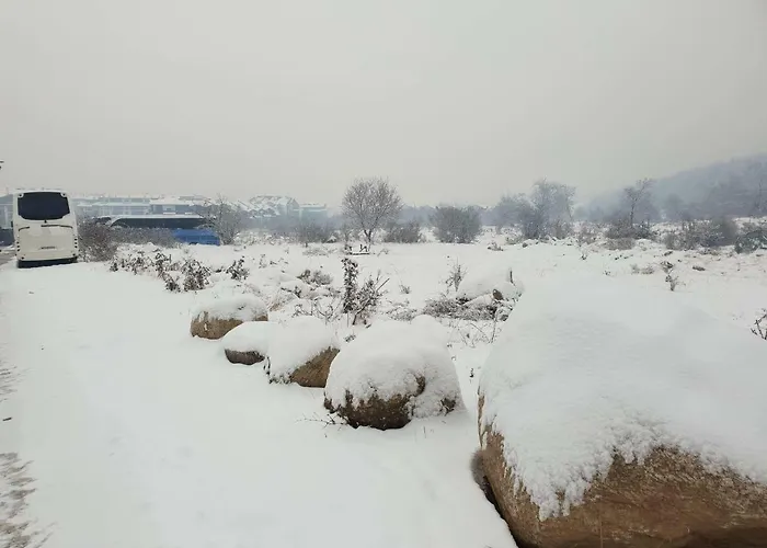 Aparthotel Royal Family