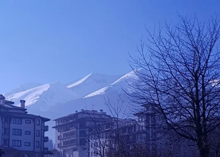 Royal Family Банско